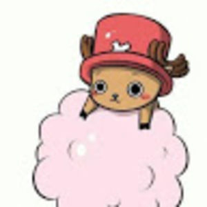 Meet your Posher, Anne